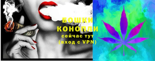 шишки Ленск