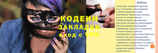 стафф Россошь
