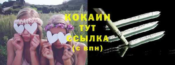 стафф Россошь