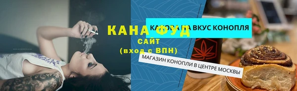 твердый Козельск
