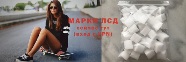 стафф Россошь