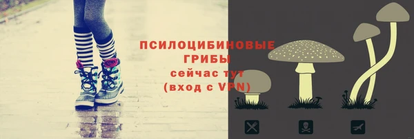 бошки Рославль