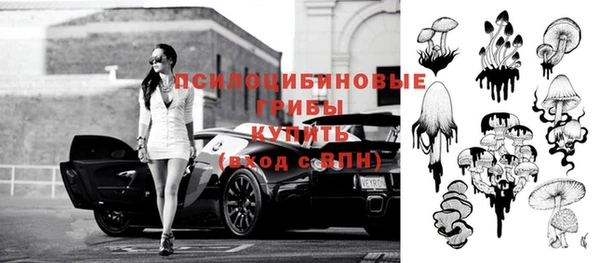 бошки Рославль