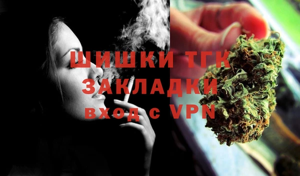 стафф Россошь
