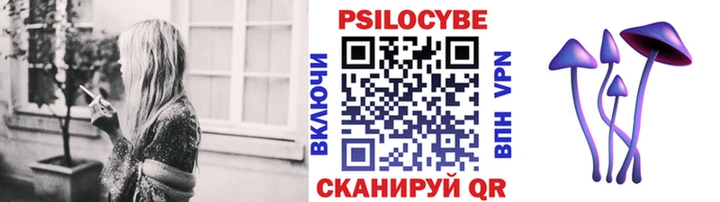 Галлюциногенные грибы мицелий  Снежногорск 
